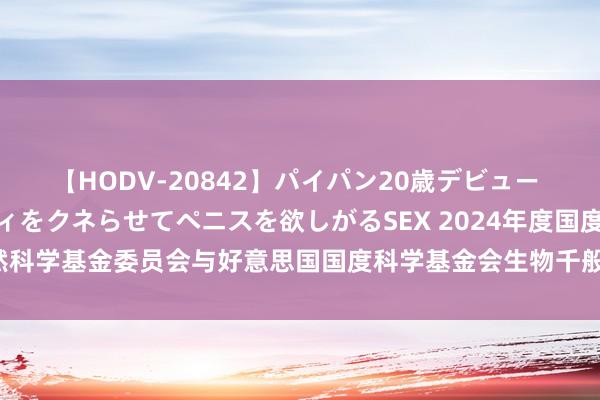 【HODV-20842】パイパン20歳デビュー 望月あゆみ 8頭身ボディをクネらせてペニスを欲しがるSEX 2024年度国度当然科学基金委员会与好意思国国度科学基金会生物千般性配合商讨与交流表情指南