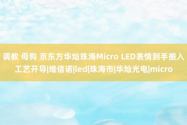 调教 母狗 京东方华灿珠海Micro LED表情到手搬入工艺开导|维信诺|led|珠海市|华灿光电|micro