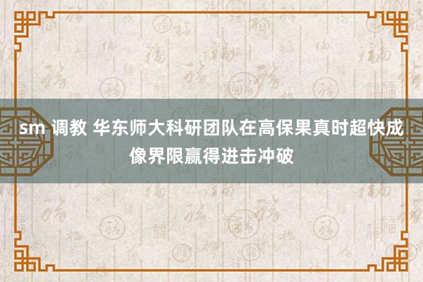 sm 调教 华东师大科研团队在高保果真时超快成像界限赢得进击冲破