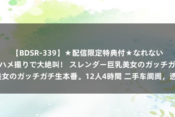 【BDSR-339】★配信限定特典付★なれない感じの新人ちゃんが初ハメ撮りで大絶叫！ スレンダー巨乳美女のガッチガチ生本番。12人4時間 二手车阛阓，透澈崩盘了？