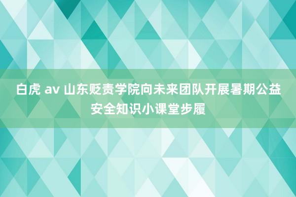白虎 av 山东贬责学院向未来团队开展暑期公益安全知识小课堂步履