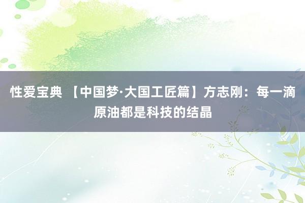 性爱宝典 【中国梦·大国工匠篇】方志刚：每一滴原油都是科技的结晶