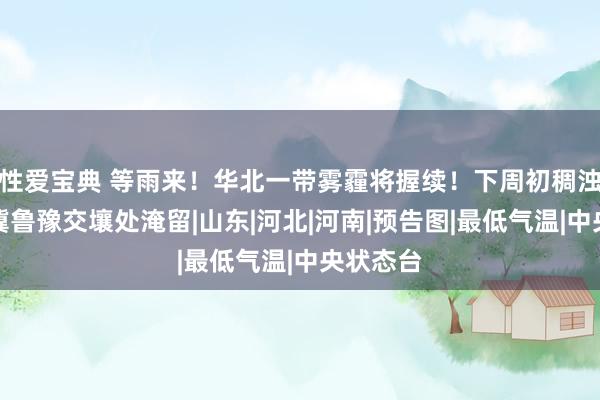 性爱宝典 等雨来！华北一带雾霾将握续！下周初稠浊物或在冀鲁豫交壤处淹留|山东|河北|河南|预告图|最低气温|中央状态台