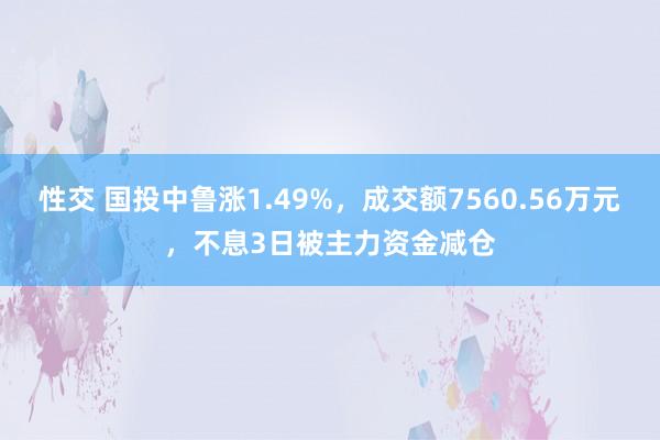 性交 国投中鲁涨1.49%，成交额7560.56万元，不息3日被主力资金减仓