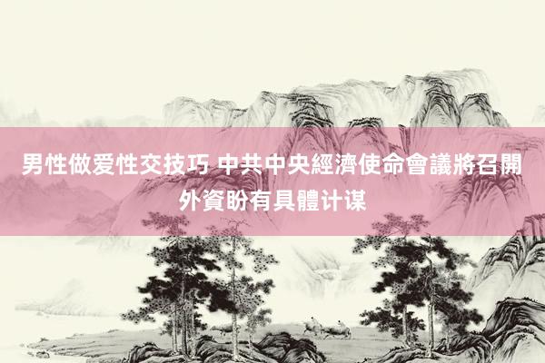 男性做爱性交技巧 中共中央經濟使命會議將召開　外資盼有具體计谋