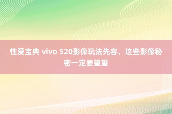 性爱宝典 vivo S20影像玩法先容，这些影像秘密一定要望望