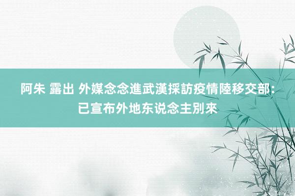 阿朱 露出 外媒念念進武漢採訪疫情　陸移交部：已宣布外地东说念主別來