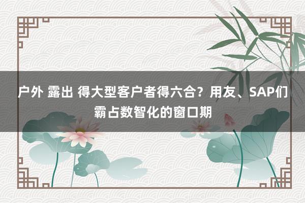 户外 露出 得大型客户者得六合？用友、SAP们霸占数智化的窗