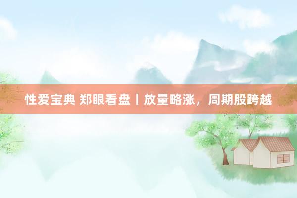 性爱宝典 郑眼看盘丨放量略涨，周期股跨越