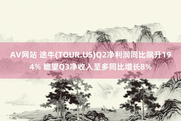 AV网站 途牛(TOUR.US)Q2净利润同比飙升194% 