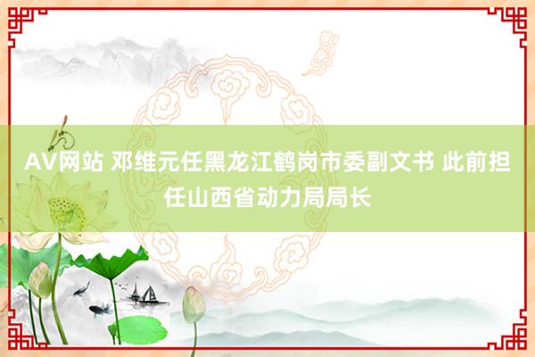 AV网站 邓维元任黑龙江鹤岗市委副文书 此前担任山西省动力局