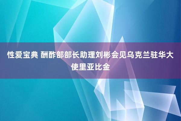 性爱宝典 酬酢部部长助理刘彬会见乌克兰驻华大使里亚比金