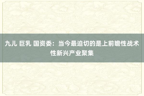 九儿 巨乳 国资委：当今最迫切的是上前瞻性战术性新兴产业聚集