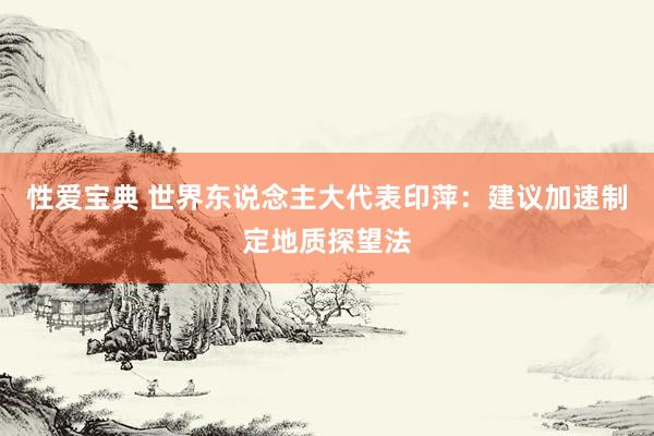 性爱宝典 世界东说念主大代表印萍：建议加速制定地质探望法