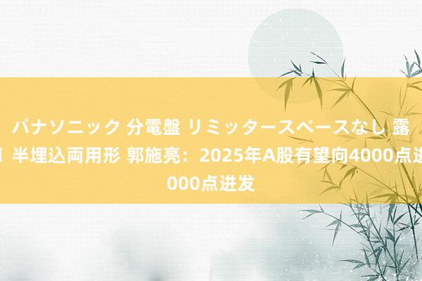 パナソニック 分電盤 リミッタースペースなし 露出・半埋込両