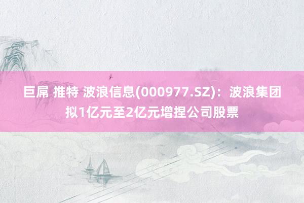 巨屌 推特 波浪信息(000977.SZ)：波浪集团拟1亿元